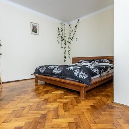 Apartmán Supreme Deer Brašov Exteriér fotografie