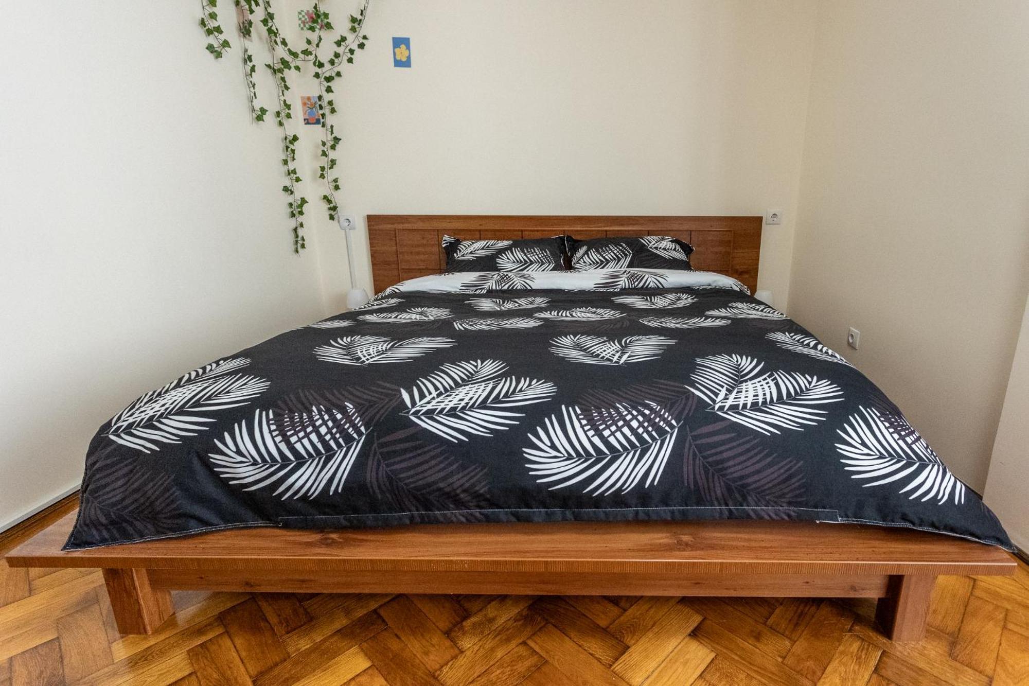 Apartmán Supreme Deer Brašov Exteriér fotografie